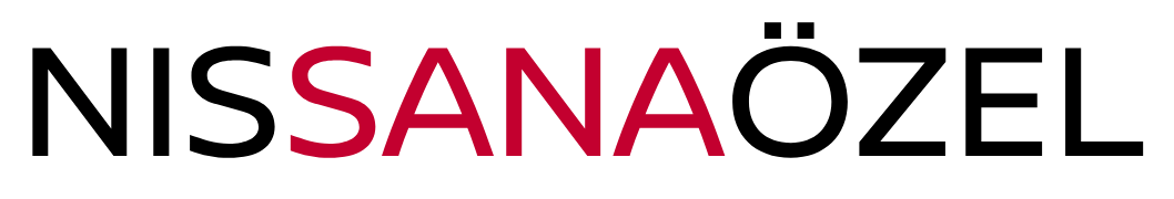 logo nissanaozel